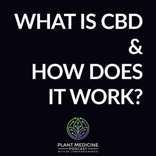 CBD Scientific Research with Dr. Mallory Loflin