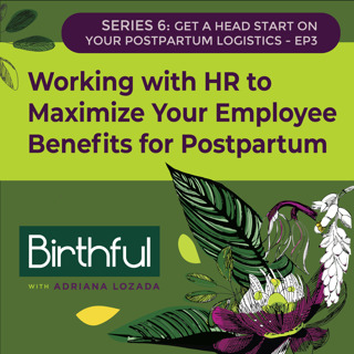 Working with HR to Maximize Your Employee Benefits for Postpartum, Katy Dahl