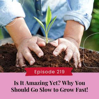 Is It Amazing Yet? Why You Should Go Slow to Grow Fast!