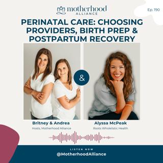 Perinatal Care: Choosing Providers, Birth Prep & Postpartum Recovery w/ Dr. Alyssa McPeak