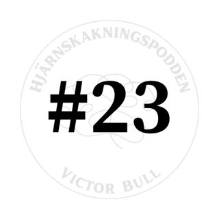 Optikern Tony Pansell intervjuas kring ögonbesvär efter hjärnskakning #23