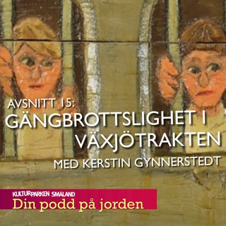15. Gängbrottslighet i växjötrakten. Med Kerstin Gynnerstedt