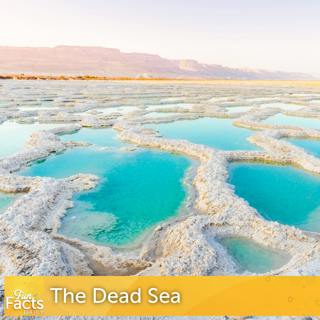 Fun Facts About the Dead Sea