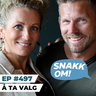 Ep 497 - Å ta valg