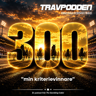 Avs. 300 -  ”Min kriterievinnare”