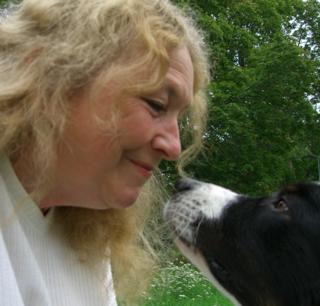Stress hos hund - Orsaker och åtgärder med Ingrid Tapper