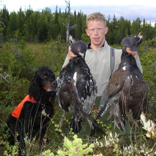 Rype, skogsfugl, fuglehunder, gaupe og jerv med Arild Dahl