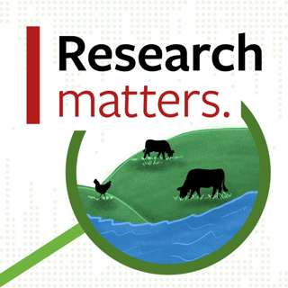 How does that manure get in our water? - Research Matters S2E5