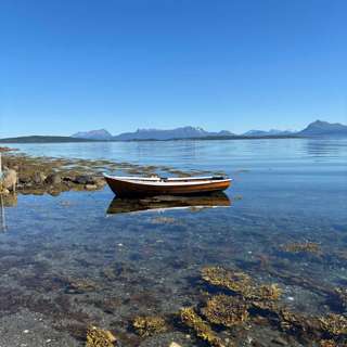 Er fuglene og naturen i ferd med å stilne? Samtale om naturtap og naturendringer