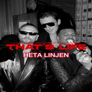 HETA LINJEN: Guilty Pleasures & Unpopular Opinions.