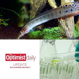 Algae Oil & Freshwater Fish