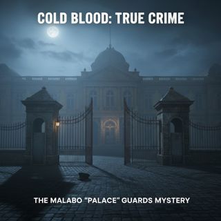 The Malabo Palace Guards Mystery
