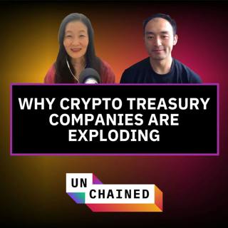 Bitcoin Treasury Companies Are Taking Off. Could They Eventually Crash? - Ep. 843