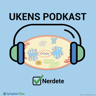 Introduksjon til cellen