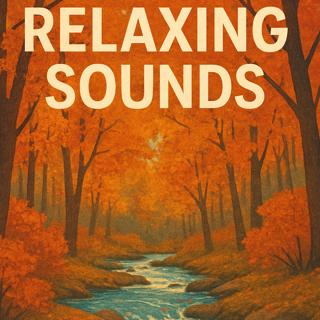 Relaxing Sounds – Forest Creek in Autumn | Sleep, Study, Focus | (8 Hours)