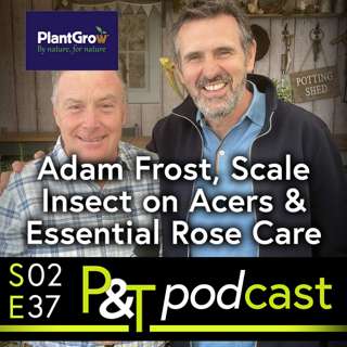 Adam Frost from BBC Gardeners World, Scale Insects on an Acer & Essential Rose Care!