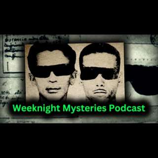 #29 Lead masks case