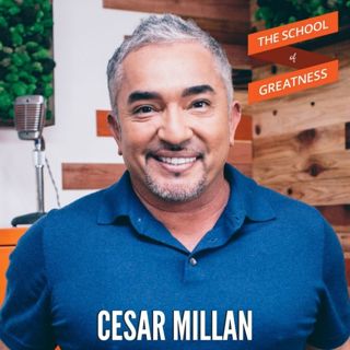 455 Cesar Millan: Train Confidence & Become the Leader of the Pack
