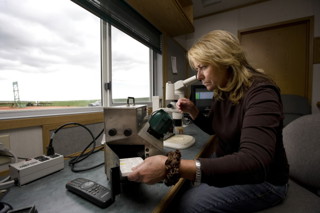 Kathy Neset, Neset Consulting