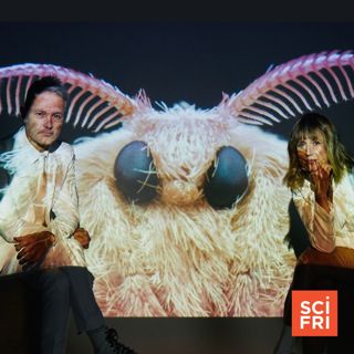 How Metaphor Shapes Science | Intertwining The Lives Of Moths And Humans Through Music