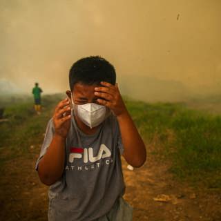 ‘Godzilla-level’ El Niño could cause hottest year on record - The Latest
