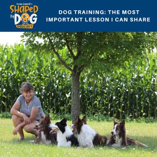 Dog Training: The Most Important Lesson I Can Share #100
