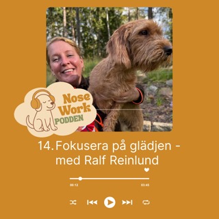 14. Fokusera på glädjen - Ralf Reinlund