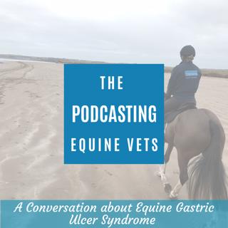 A Conversation About Equine Gastric Ulcer Syndrome