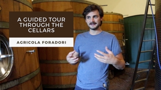 A Guided Tour into the Cellars of Agricola Foradori