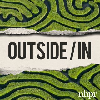 Your brain on GPS