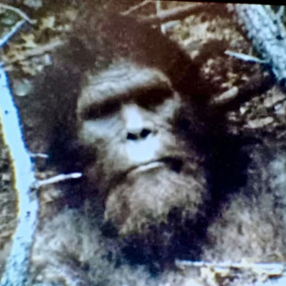 Park Ranger WARNS Of NEW SPECIES In BLUE RIDGE MOUNTAINS