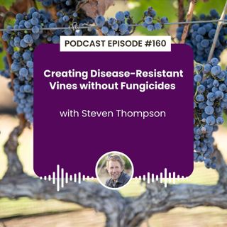 Episode 160: Creating Disease-Resistant Vines without Fungicides with Steven Thompson