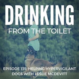 #135: Helping Hypervigilant Dogs with Leslie McDevitt
