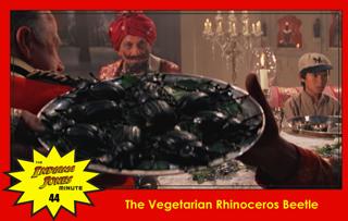 Temple of Doom Minute 44: The Vegetarian Rhinoceros Beetle, with Indian restaurateur Jay
