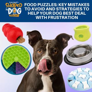 Food Puzzles: Key Mistakes To Avoid And Strategies To Help Your Dog Best Deal With Frustration #278