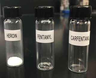 Podcast #233: Carfentanil