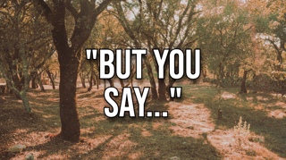 “But You Say”