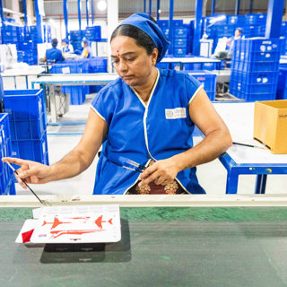 India Wanted to Become The World’s Toymaker. Then Tariffs Happened