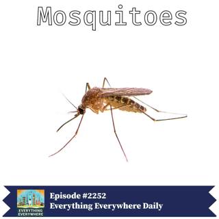 Mosquitoes