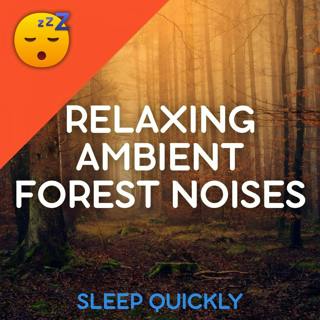 😴🍂 Relaxing Ambient FOREST Noises for SLEEP