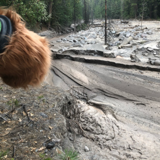 Episode 81: Mud Creek Mud Flow