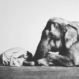 Finding Our Humanity, "How To Embody" Responses To Questions of Forgiveness and Other Teachings in Unity's Christianity