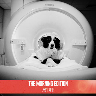 Science has given us another reason to love dogs