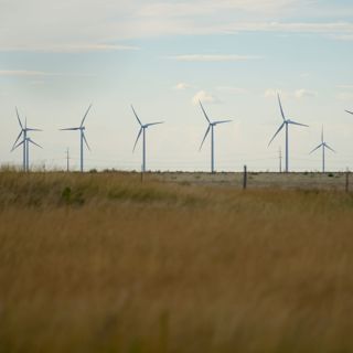 How Trump's Hatred For Windmills Is Hurting All Of Us