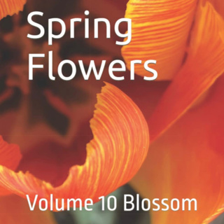 Spring Flowers Volume 10 Blossom by Daniel Lucas