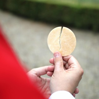NOT ADVICE –SALVATION: BEHOLD THE LAMB Homily for Second Sunday of Ordinary Time - January 18, 2026