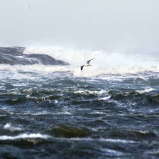 Havet som grav
