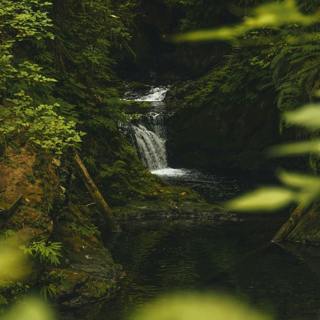 😴💧🎵 Release the STRESS: Let Yourself Be SOOTHED by the MUSIC and the Sound of WATER