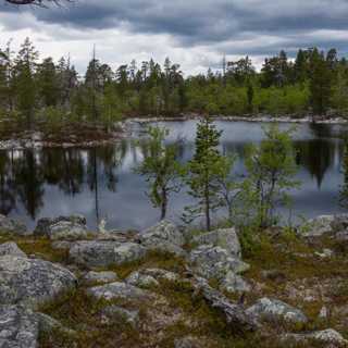 Vilda vattenlabyrinter och varglav i Rogen