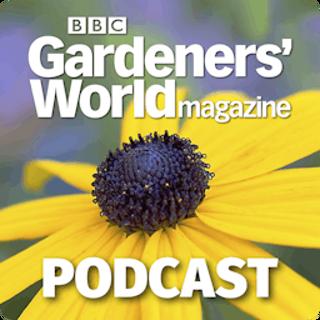 The truth about honey and how to help bees, with Rachel de Thample